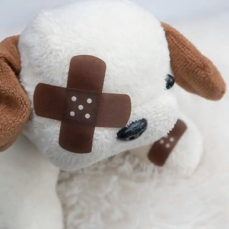 Den lilla hunden som tappat ett öga har blivit omplåstrad.