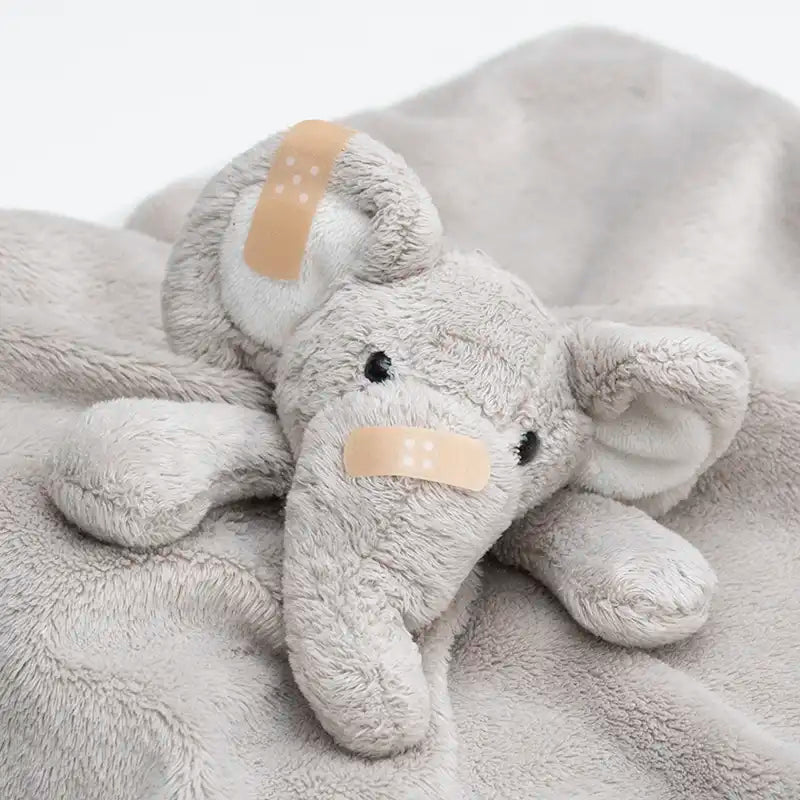 Elefant-snutten har skadat sig och fått ett plåster på snabeln och ett på örat.