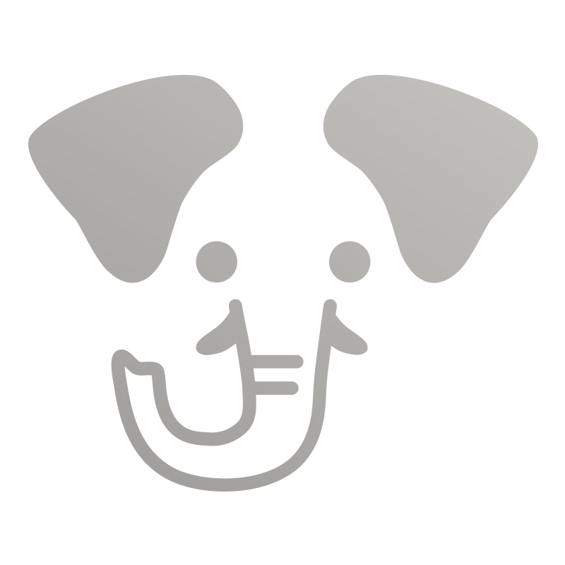 Elephant, silver