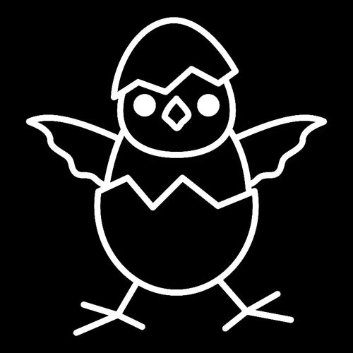 Chick