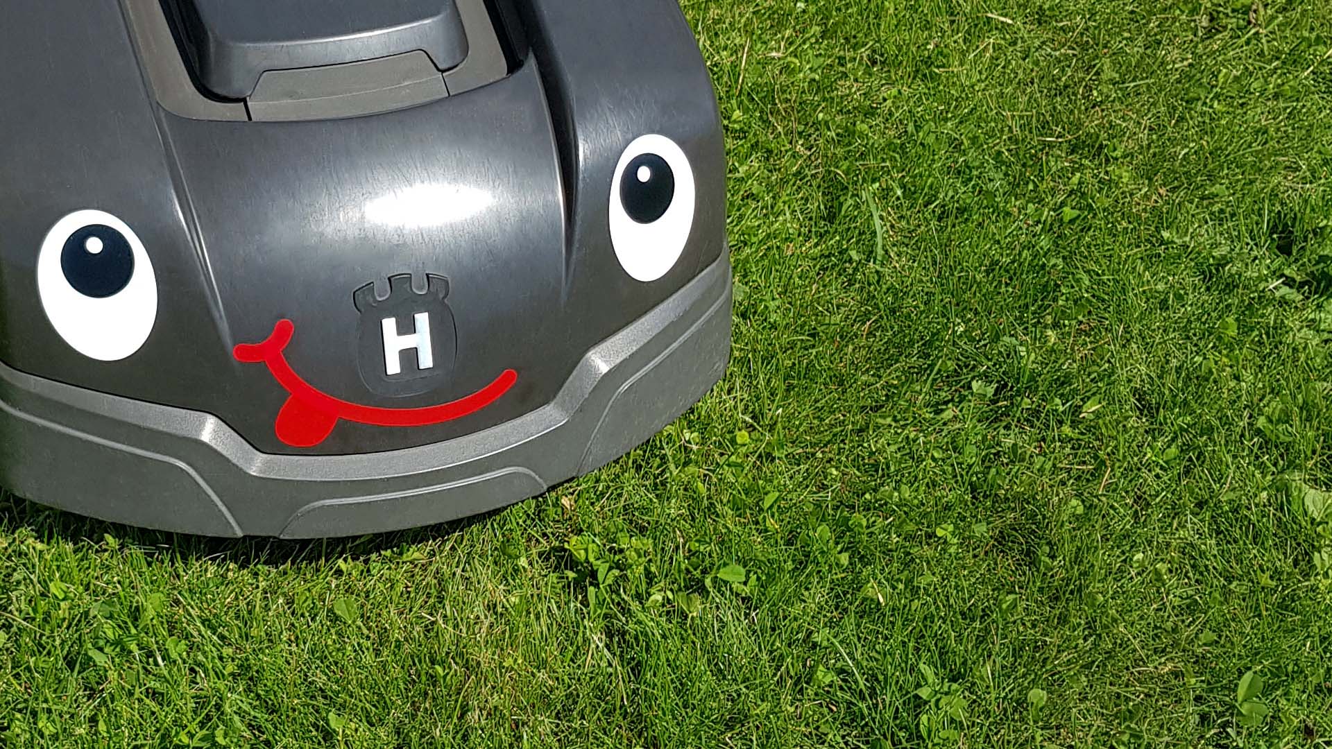 Kul med ögon till gräsklippare!