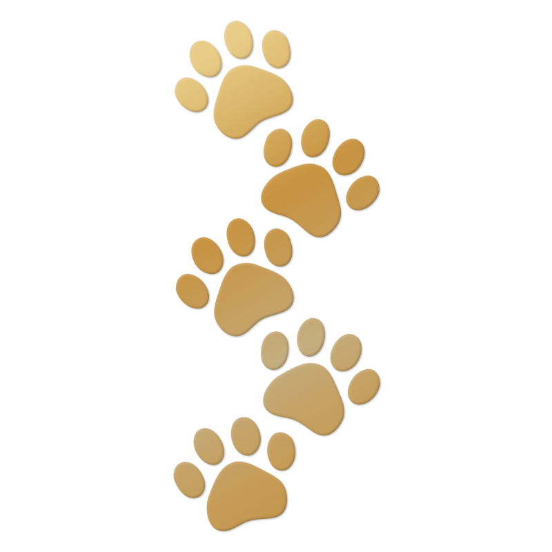 Paw print