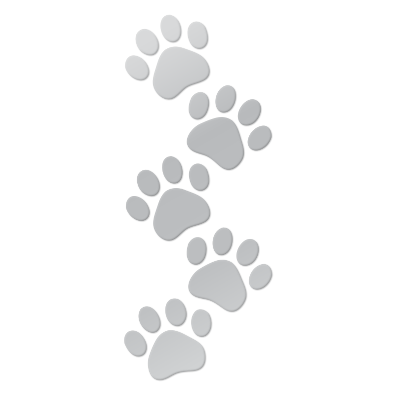 Paw print