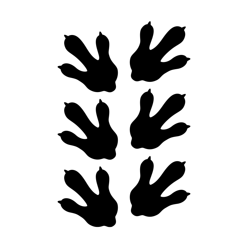 Dinosauriefotspår