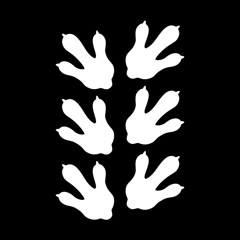 Dinosauriefotspår